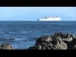 Ferry Boat & Seal 1788